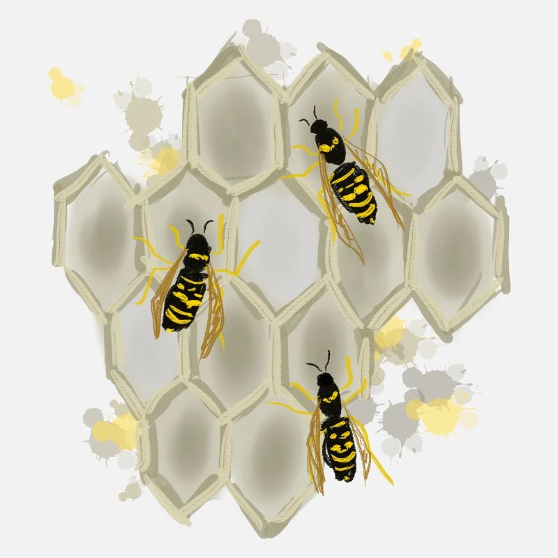 Wasps