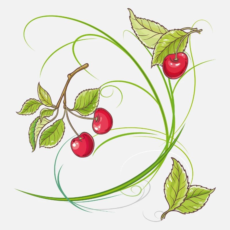 Kirschen,Obst