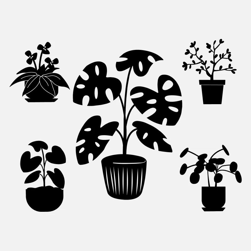 Houseplants five
