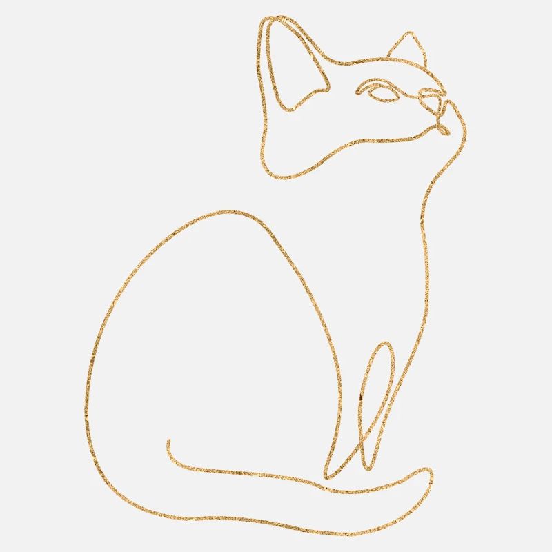Chaton Chat Chat