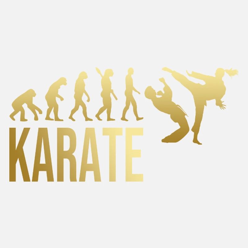 Evolution Karate