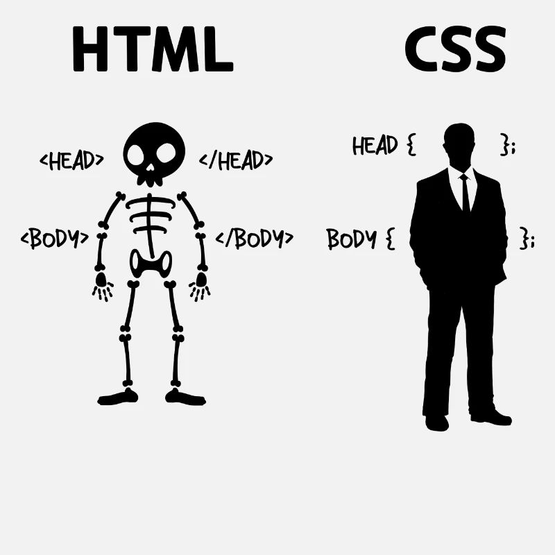 Développeur Programmeur Coden Code de script CSS