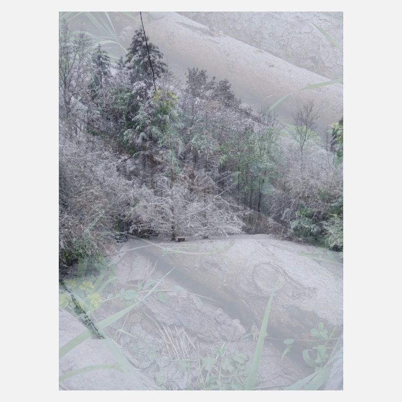 Schnee Landschaft auf Baumstämmen