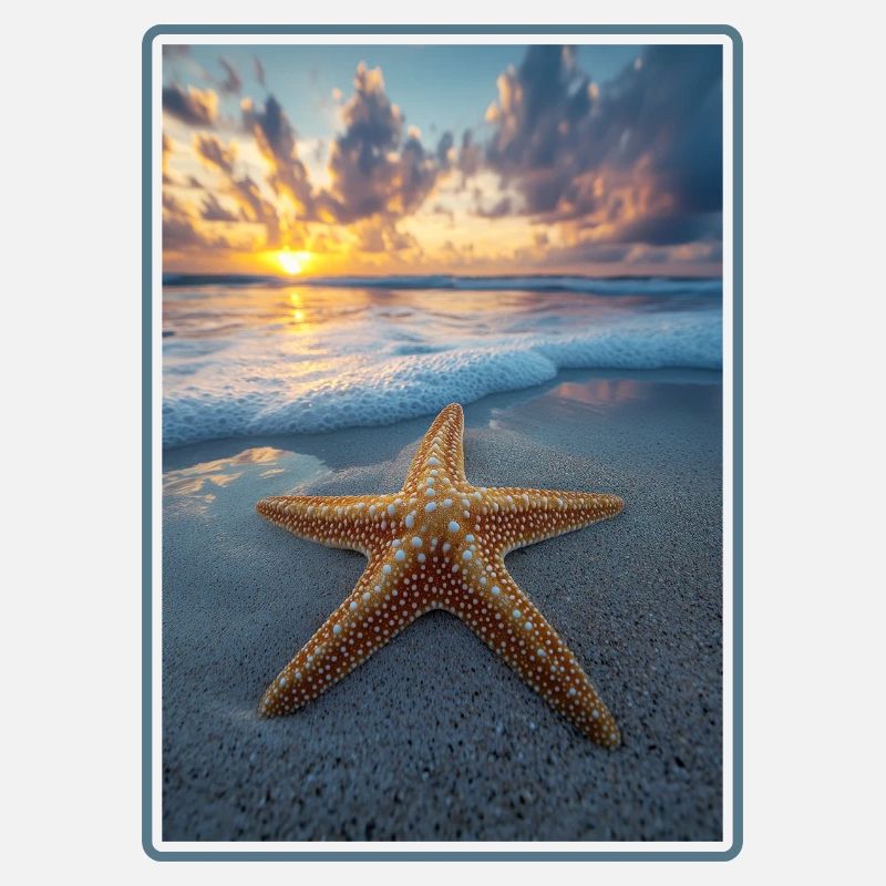 Étoile de mer Étoile de mer