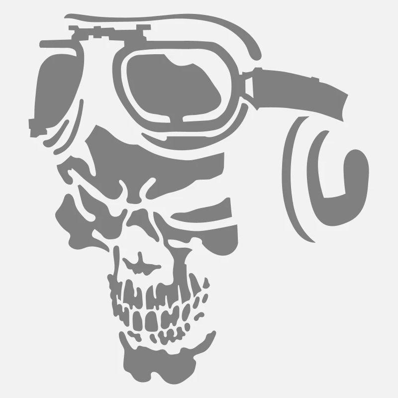Skull Pilot