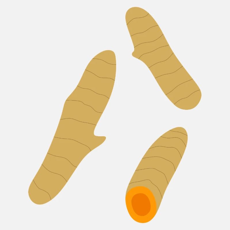 Trio de racines de curcuma minimaliste