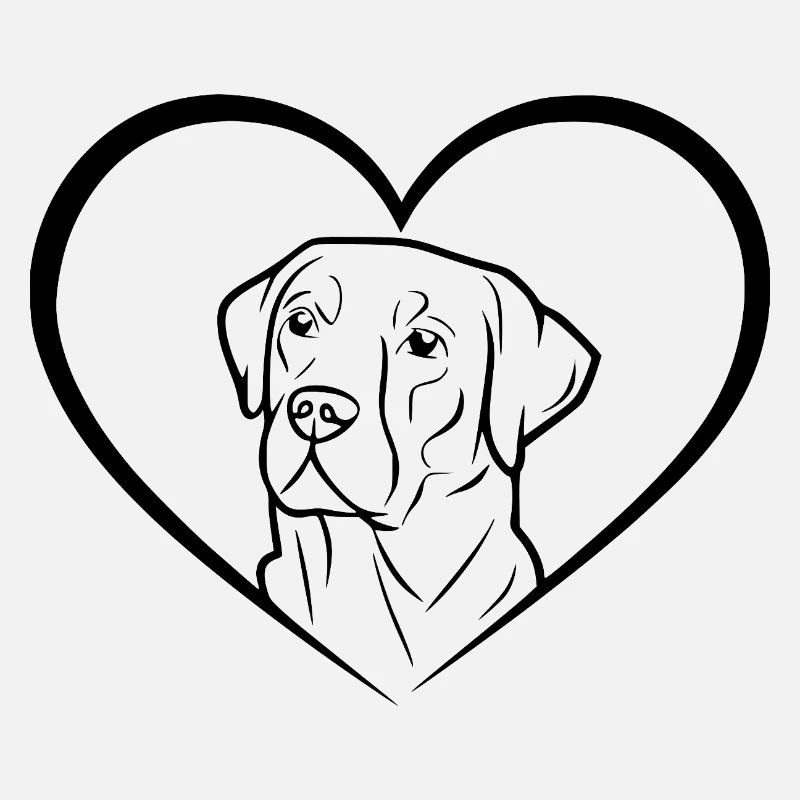 Labrador Retriever Drawing
