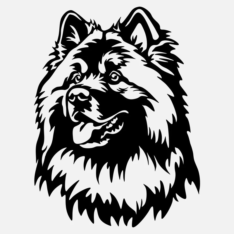 Eurasier Kopf