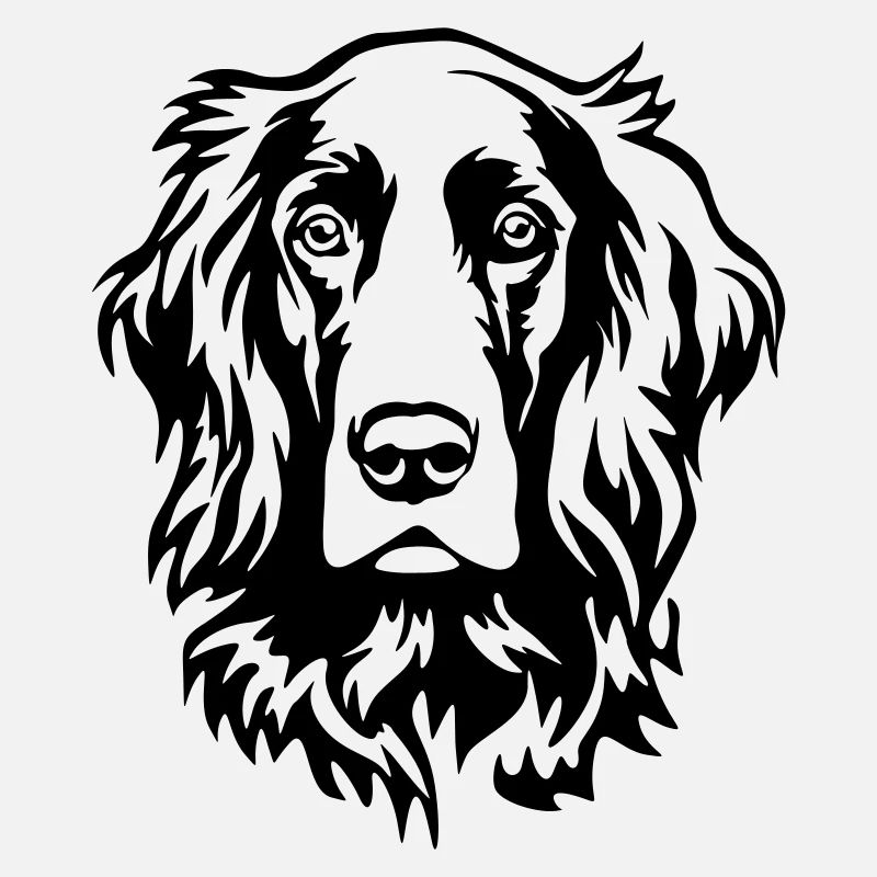 Irish Setter Head