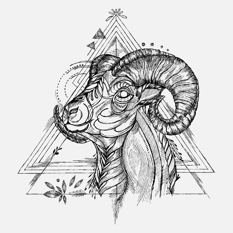 Widder Ram - Sternzeichen