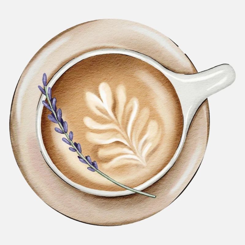 Latte Latte Design confortable