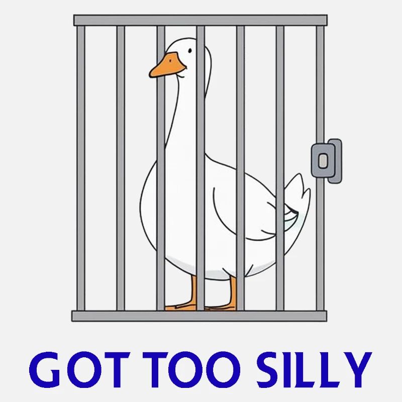 Goose – Got Too Silly