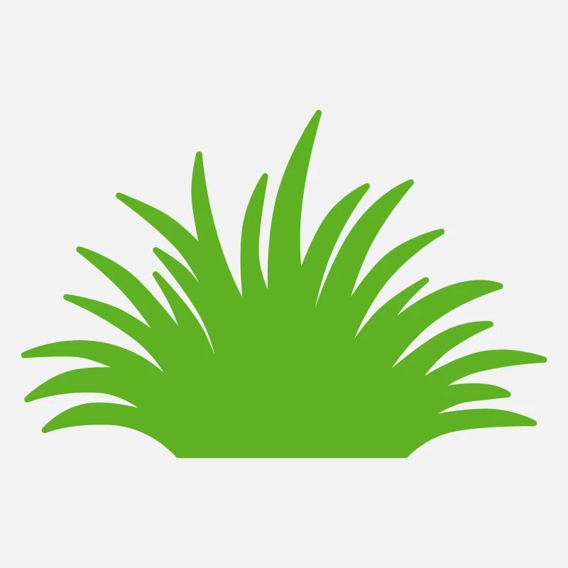 Grass