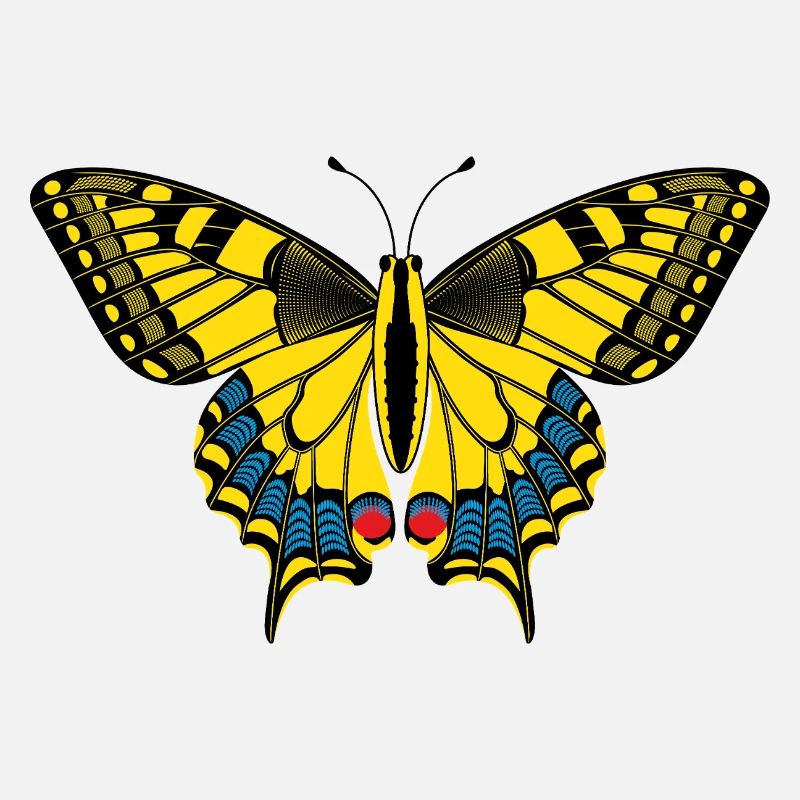 Schmetterling – Butterfly