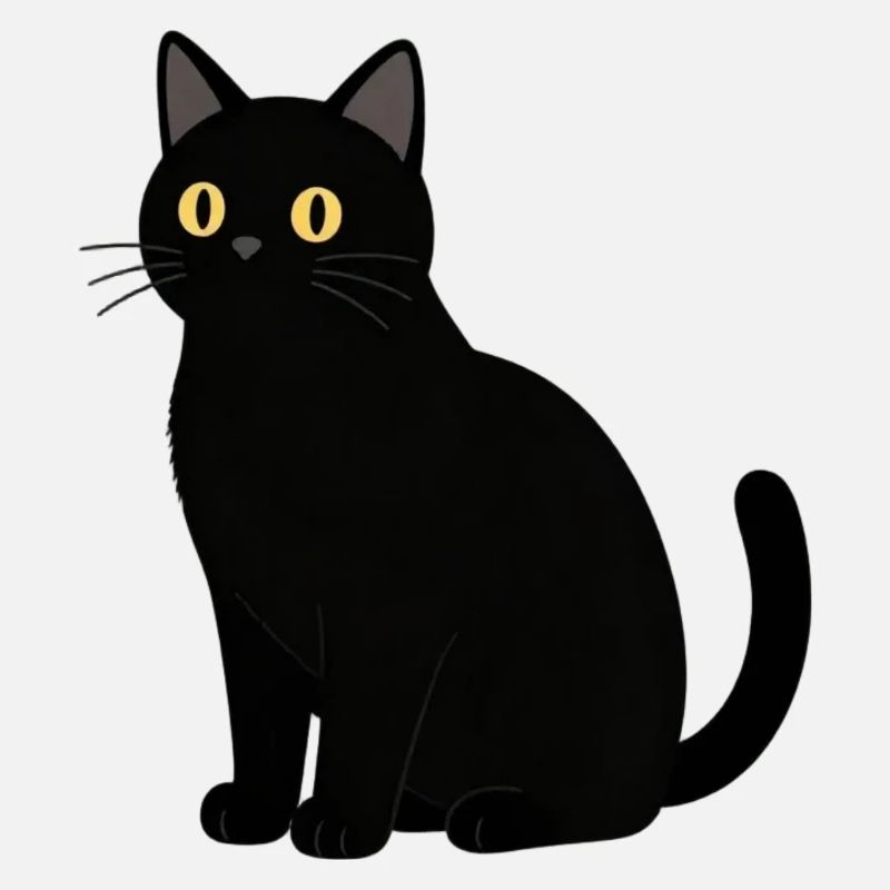 schwarze Katze Katze schwarz