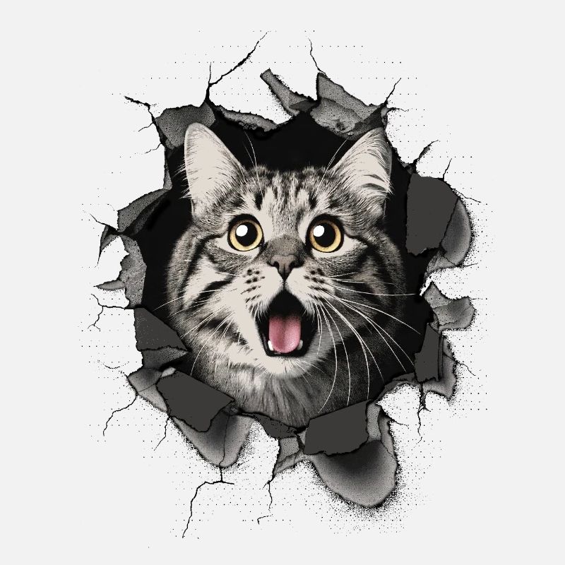 Cat Scared Wall Breakthrough Cracks