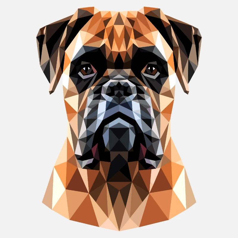 Deutscher Boxer Hunde Boxerverein German Boxer