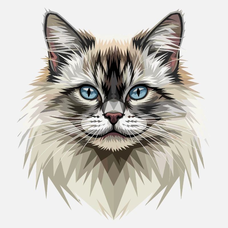Birma Katze Heilige Birmakatze Süße Birma Katzen