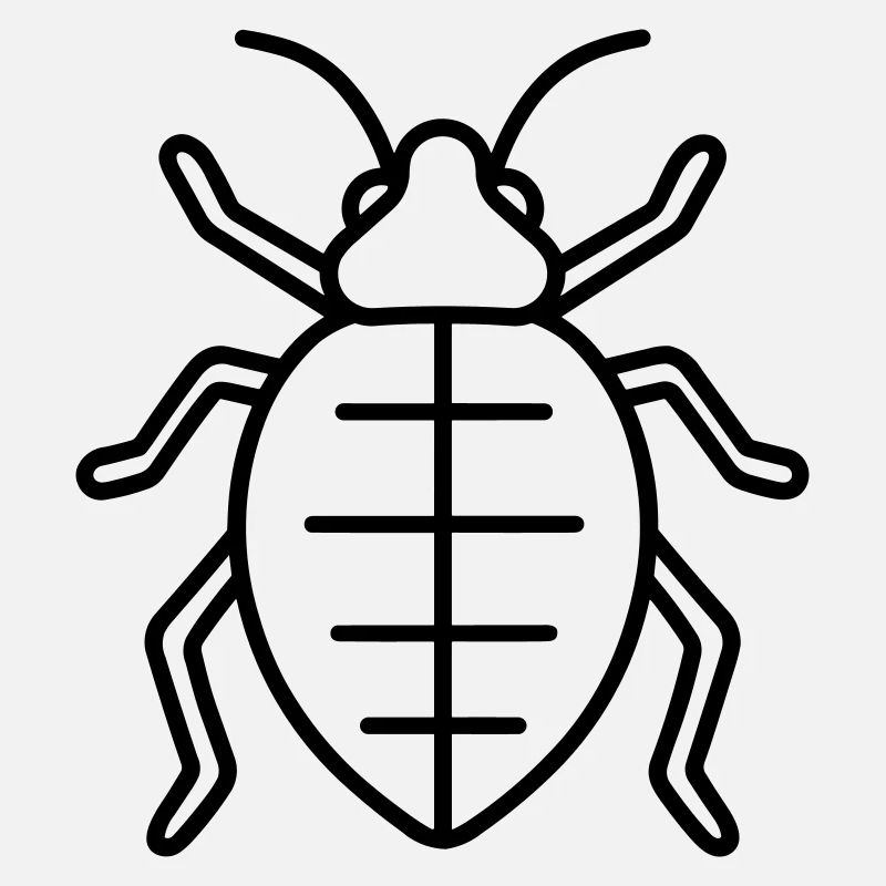 Aphid
