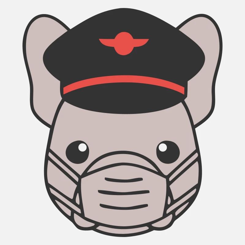 Frenchie Pilot Mask Flying