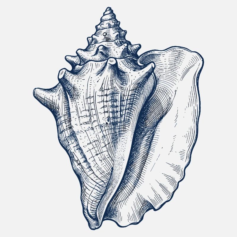 Sea Shell Illustration in Blue