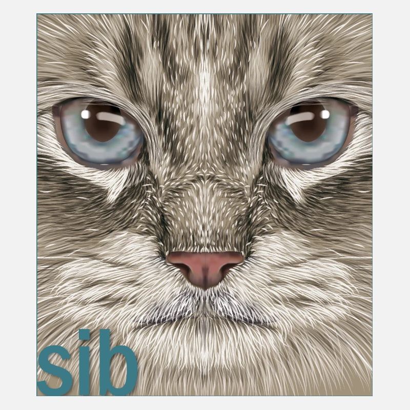 Siberian Cat