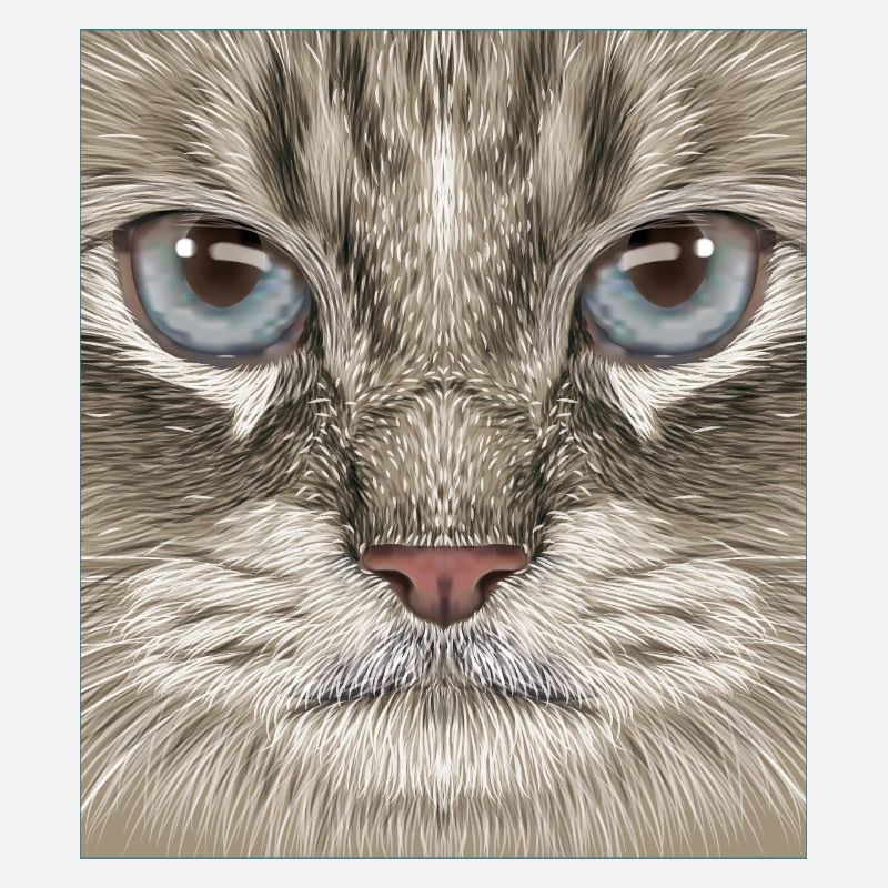Sibirische Katze