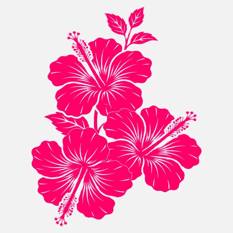 Fuchsiarosa Hibiskusblüten