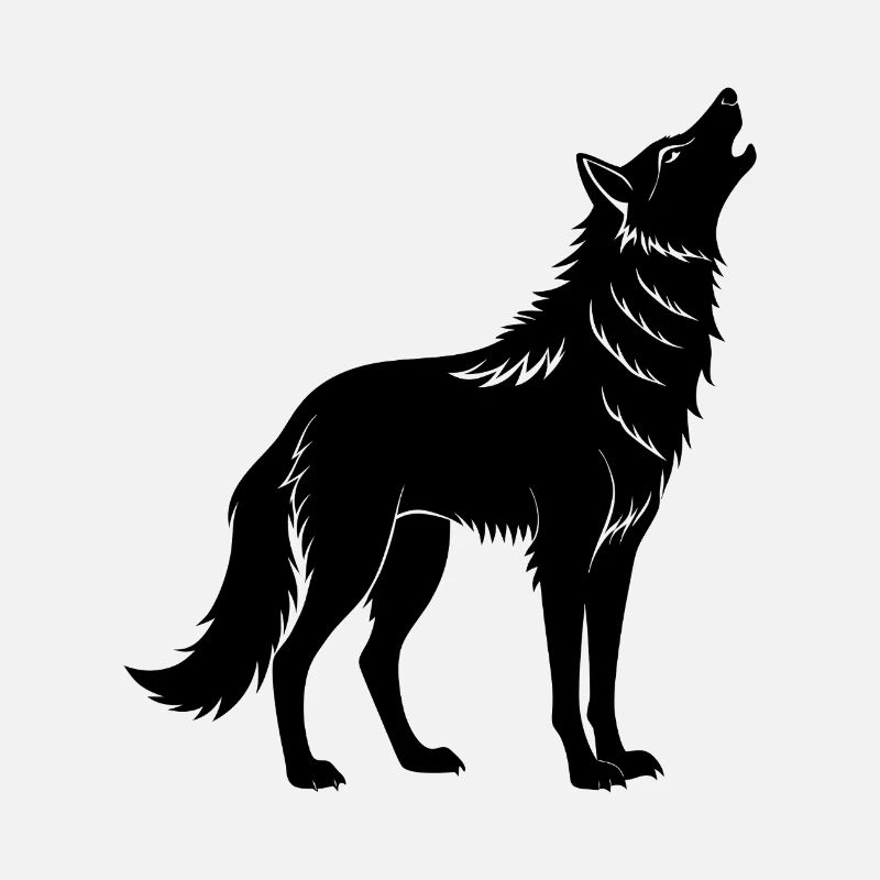 Coyote