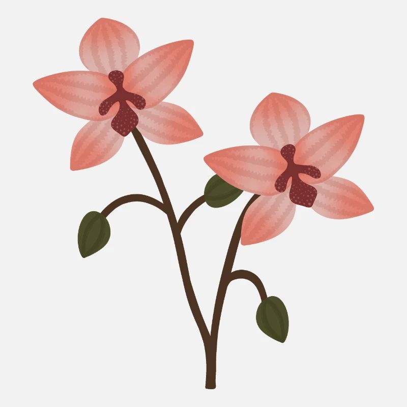 Pastel Orchid Bloom