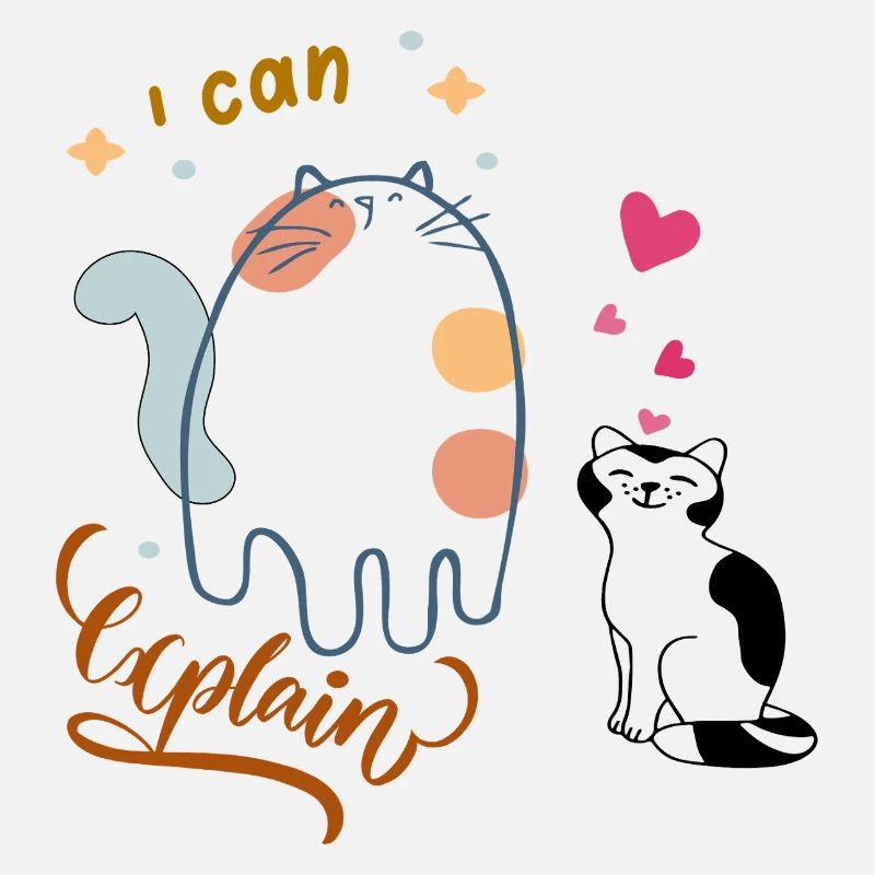 I can explain
