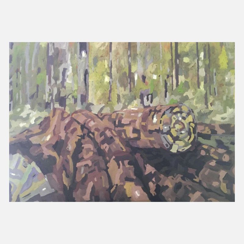 Baumstämme im Wald – eine impressionistische Landschaft