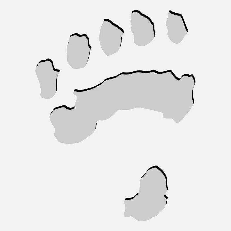 Polar Bear Paw