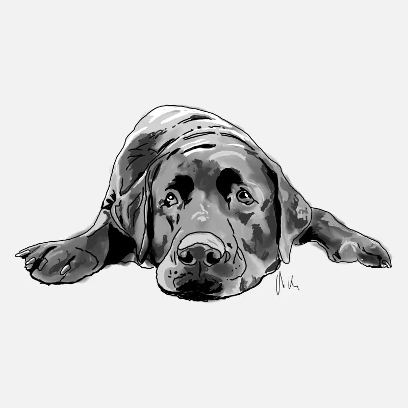 Labrador