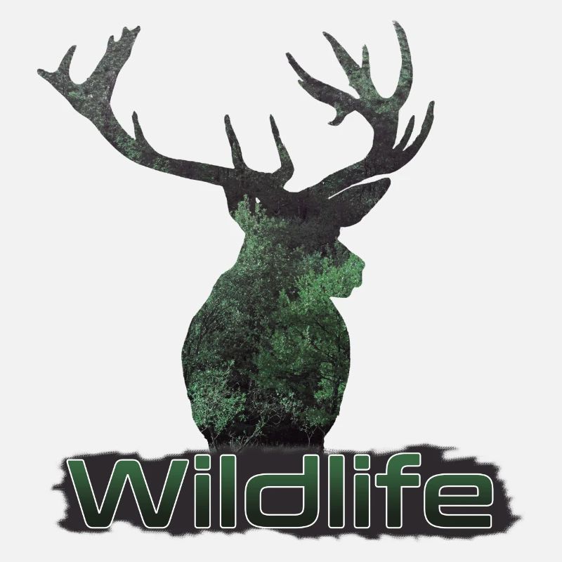 Wildlife Deer