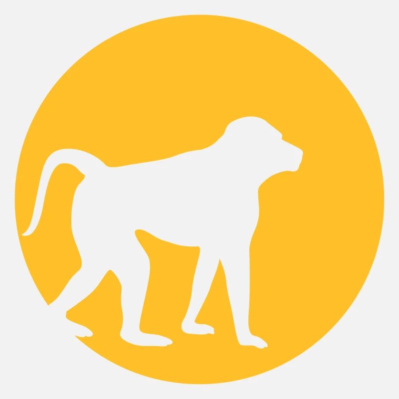 Le singe dans la lune