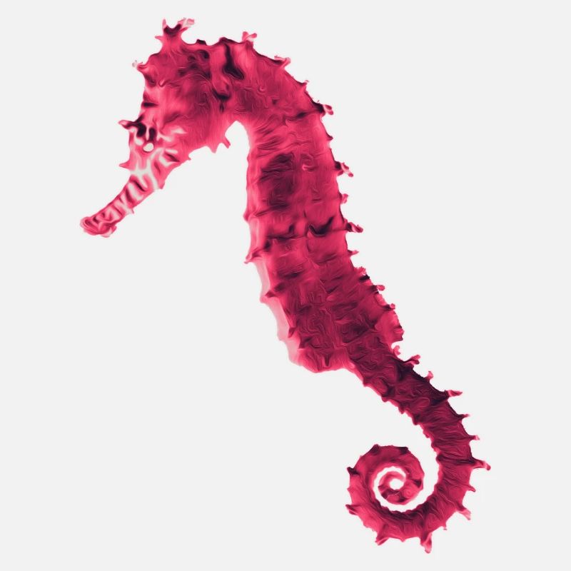 Hippocampe