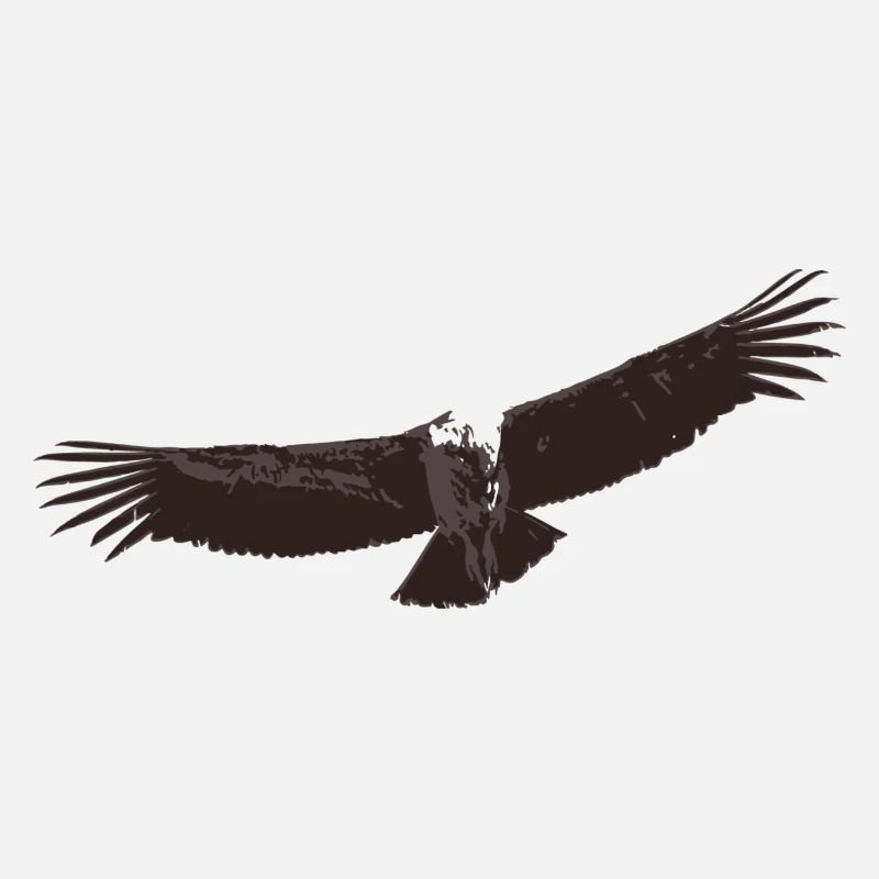Condor