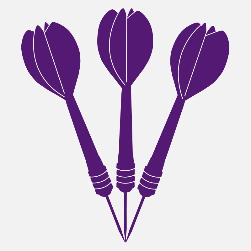 Flèches de fléchettes