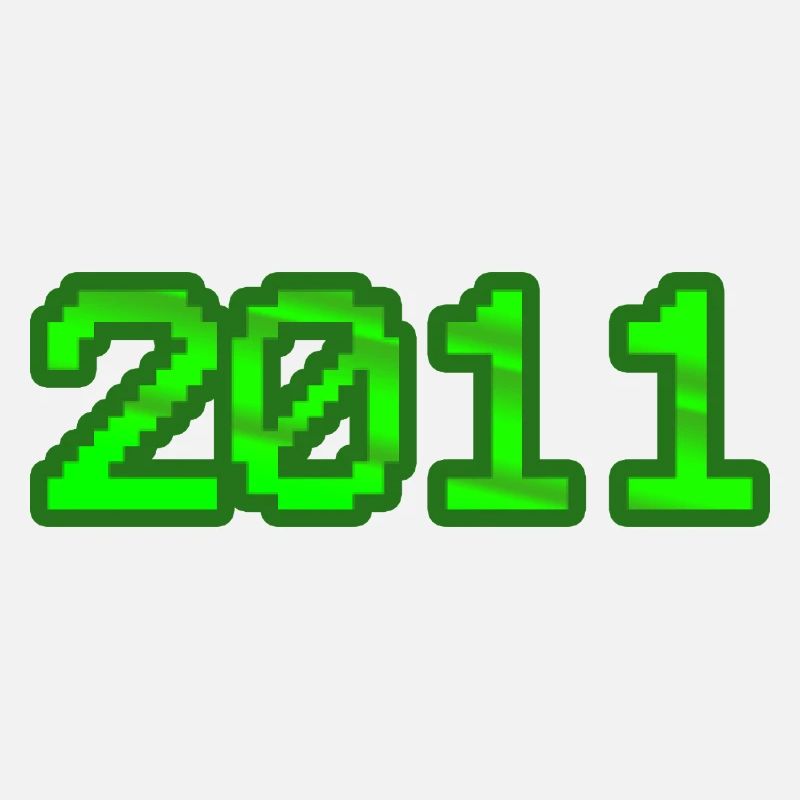Computer 2011