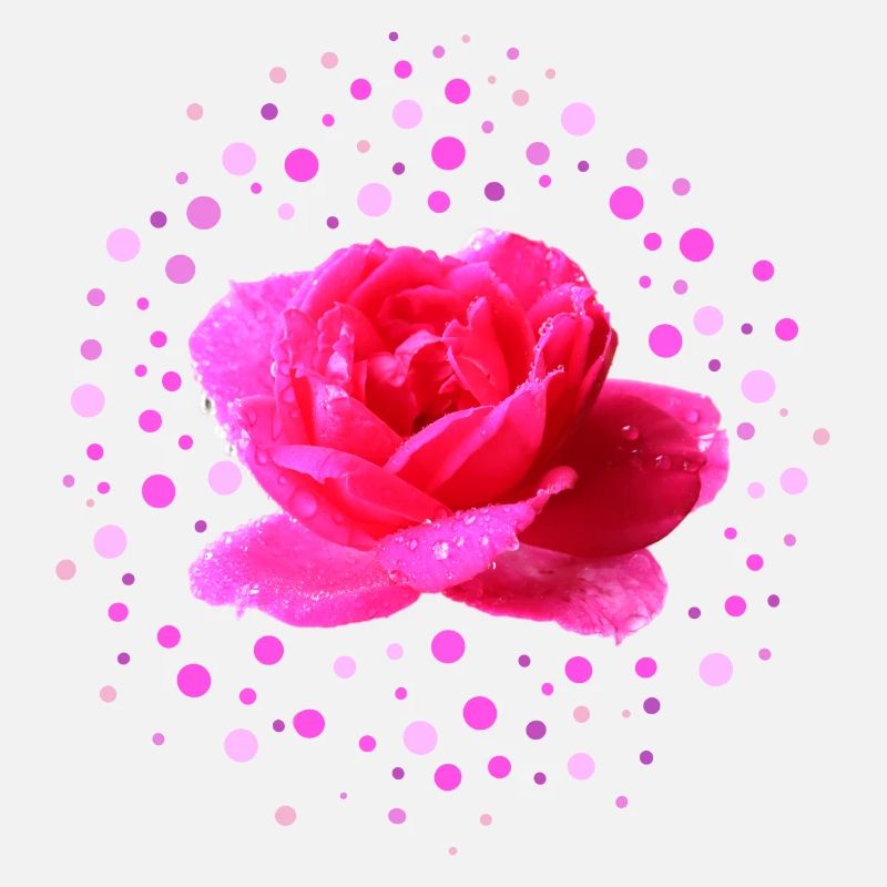 rosa Rose Muttertag