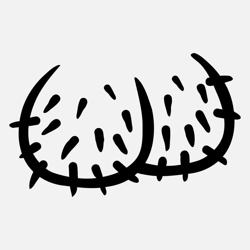 Penis