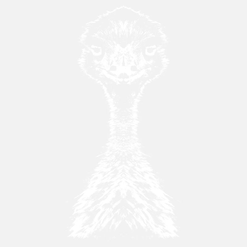Emu / Ratite / Portrait