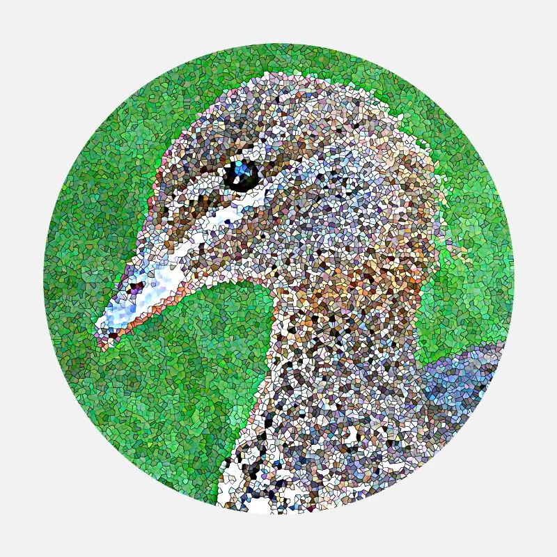 Such a cute duck