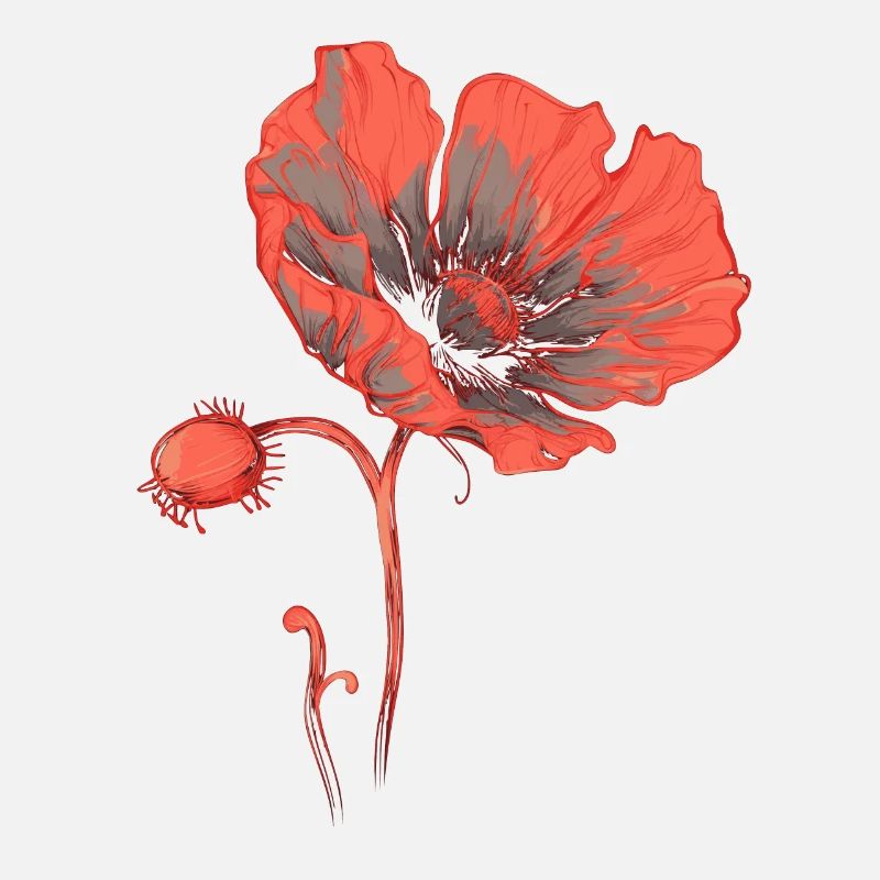 Corn poppy