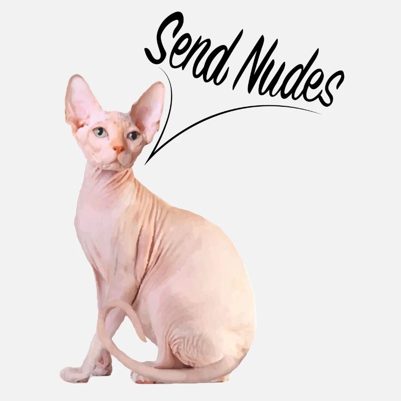 DESSIN NUMÉRIQUE SPHYNX AVEC DEVIS DÉTOURNÉ