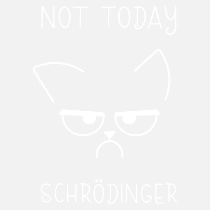Schrödingers Katze Experiment Katze Physik
