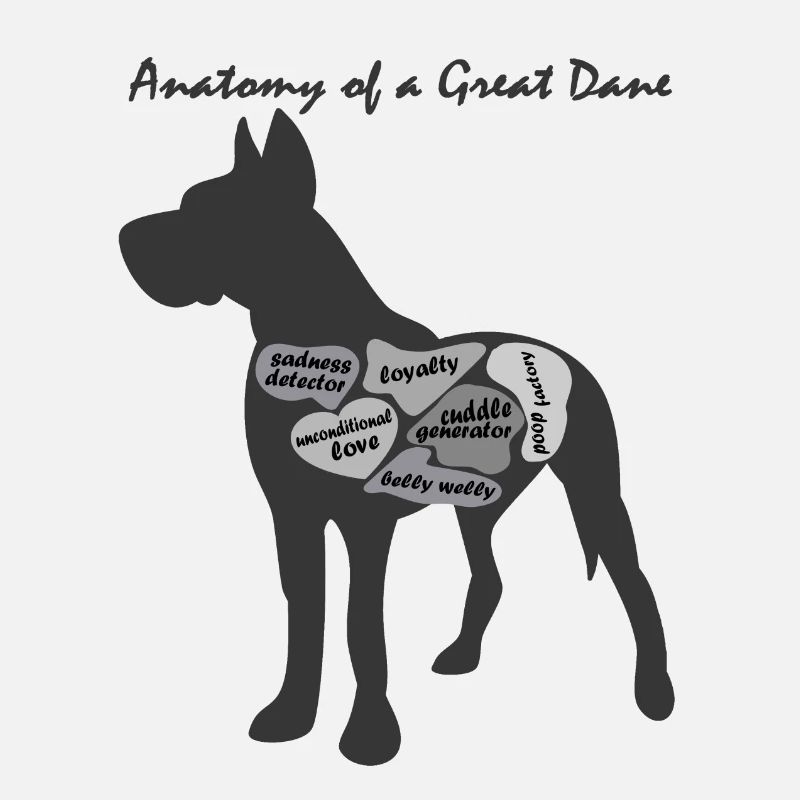 ANATOMIE EINER DEUTSCHEN DOGGE