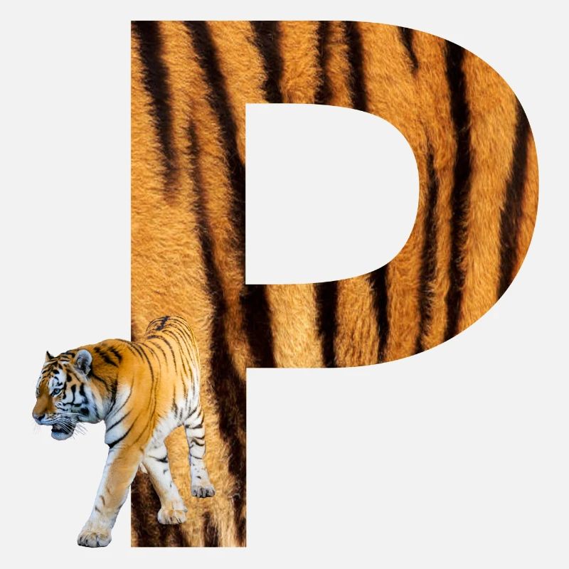 tiger p