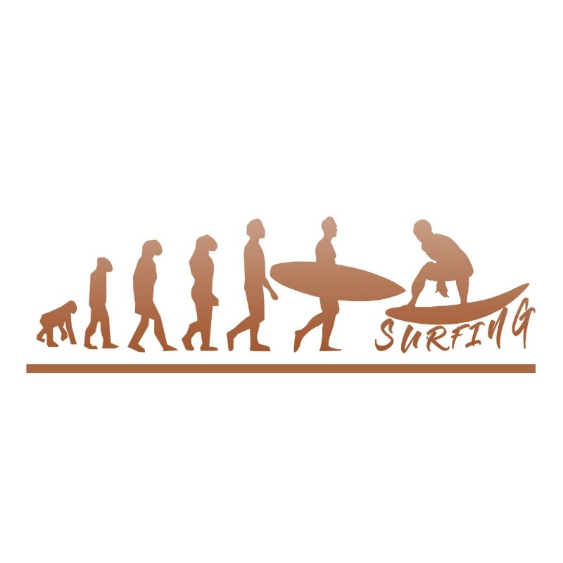 Surfen bis zur Evolution - Surfing until evolution